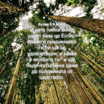 Picture 04 - Естир 5:6 BULG - И като пиеха вино, царят - Bible Verse Picture