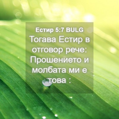Picture 04 - Естир 5:7 BULG - Тогава Естир в отговор - Bible Verse Picture