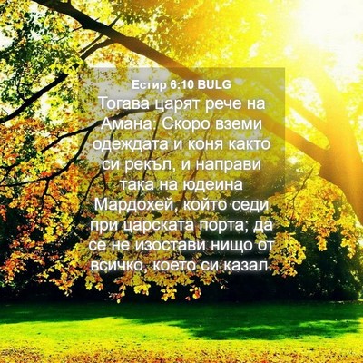 Picture 04 - Естир 6:10 BULG - Тогава царят рече на Амана: - Bible Verse Picture