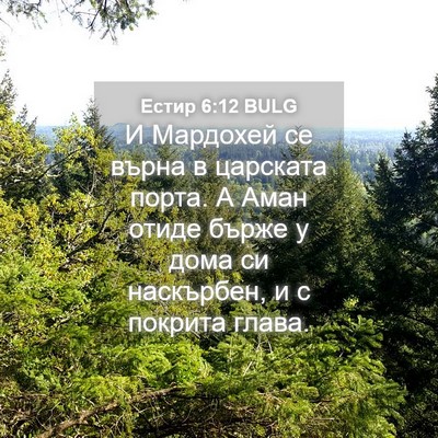 Picture 04 - Естир 6:12 BULG - И Мардохей се върна в - Bible Verse Picture