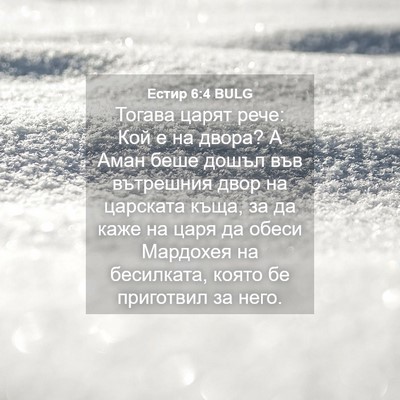 Picture 04 - Естир 6:4 BULG - Тогава царят рече: Кой е на - Bible Verse Picture