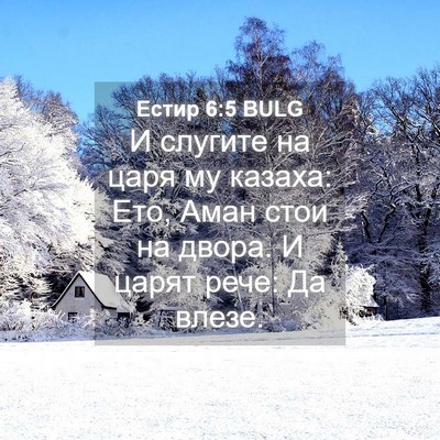 Picture 04 - Естир 6:5 BULG - И слугите на царя му - Bible Verse Picture
