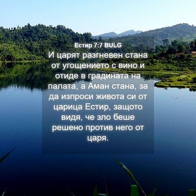 Picture 04 - Естир 7:7 BULG - И царят разгневен стана от - Bible Verse Picture