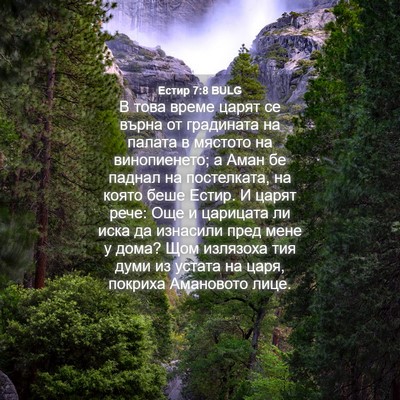 Picture 04 - Естир 7:8 BULG - В това време царят се върна - Bible Verse Picture