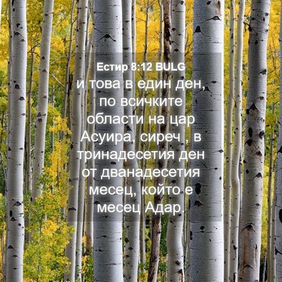 Picture 04 - Естир 8:12 BULG - и това в един ден, по - Bible Verse Picture