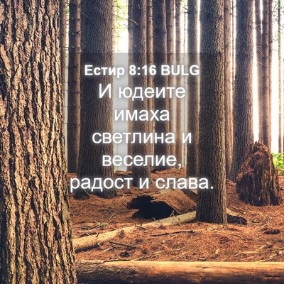 Picture 04 - Естир 8:16 BULG - И юдеите имаха светлина и - Bible Verse Picture