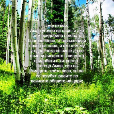 Picture 04 - Естир 8:5 BULG - Ако е угодно на царя, и ако - Bible Verse Picture