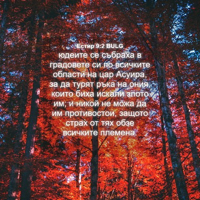 Picture 04 - Естир 9:2 BULG - юдеите се събраха в - Bible Verse Picture