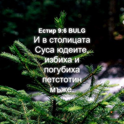 Picture 04 - Естир 9:6 BULG - И в столицата Суса юдеите, - Bible Verse Picture