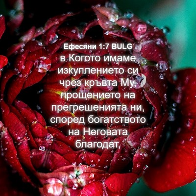 Picture 04 - Ефесяни 1:7 BULG - в Когото имаме - Bible Verse Picture