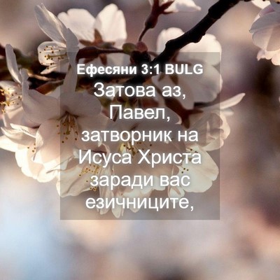 Picture 04 - Ефесяни 3:1 BULG - Затова аз, Павел, затворник - Bible Verse Picture