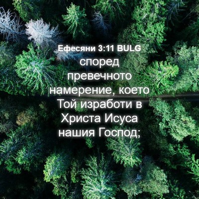 Picture 04 - Ефесяни 3:11 BULG - според превечното - Bible Verse Picture