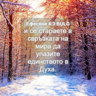 Picture 04 - Ефесяни 4:3 BULG - и се стараете в свръзката - Bible Verse Picture