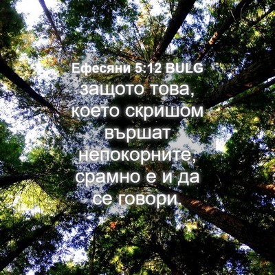 Picture 04 - Ефесяни 5:12 BULG - защото това, което скришом - Bible Verse Picture