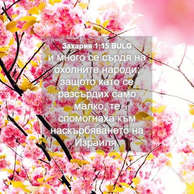 Picture 04 - Захария 1:15 BULG - и много се сърдя на - Bible Verse Picture