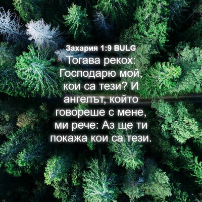 Picture 04 - Захария 1:9 BULG - Тогава рекох: Господарю - Bible Verse Picture