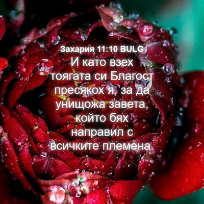 Picture 04 - Захария 11:10 BULG - И като взех тоягата си - Bible Verse Picture