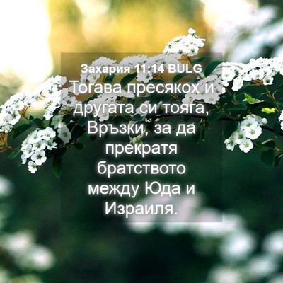 Picture 04 - Захария 11:14 BULG - Тогава пресякох и другата - Bible Verse Picture