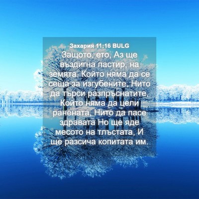 Picture 04 - Захария 11:16 BULG - Защото, ето, Аз ще въздигна - Bible Verse Picture