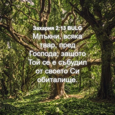 Picture 04 - Захария 2:13 BULG - Млъкни, всяка твар, пред - Bible Verse Picture