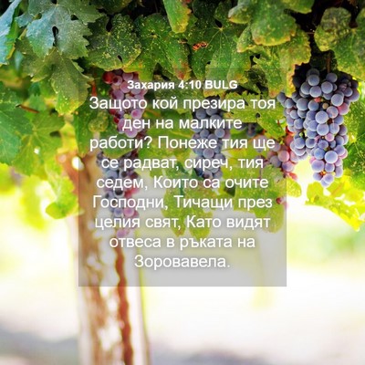 Picture 04 - Захария 4:10 BULG - Защото кой презира тоя ден - Bible Verse Picture