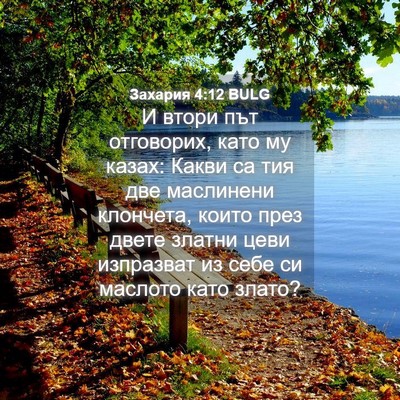 Picture 04 - Захария 4:12 BULG - И втори път отговорих, като - Bible Verse Picture