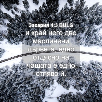 Picture 04 - Захария 4:3 BULG - и край него две маслинени - Bible Verse Picture