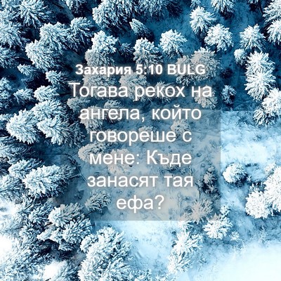 Picture 04 - Захария 5:10 BULG - Тогава рекох на ангела, - Bible Verse Picture