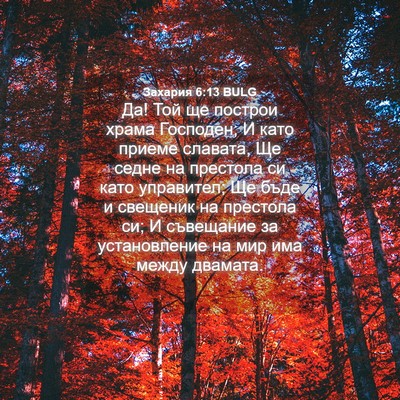 Picture 04 - Захария 6:13 BULG - Да! Той ще построи храма - Bible Verse Picture