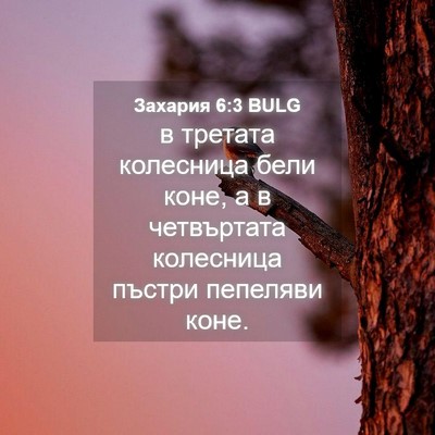 Picture 04 - Захария 6:3 BULG - в третата колесница бели - Bible Verse Picture