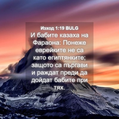 Picture 04 - Изход 1:19 BULG - И бабите казаха на Фараона: - Bible Verse Picture