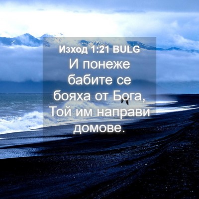 Picture 04 - Изход 1:21 BULG - И понеже бабите се бояха от - Bible Verse Picture