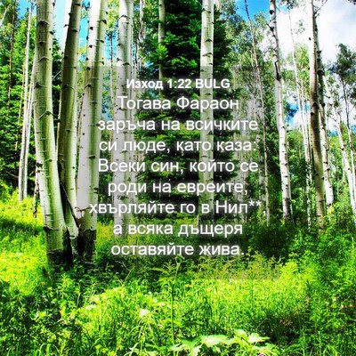 Picture 04 - Изход 1:22 BULG - Тогава Фараон заръча на - Bible Verse Picture