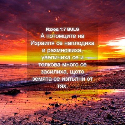Picture 04 - Изход 1:7 BULG - А потомците на Израиля се - Bible Verse Picture