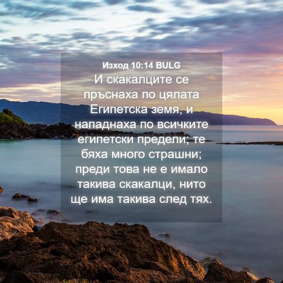 Picture 04 - Изход 10:14 BULG - И скакалците се пръснаха - Bible Verse Picture