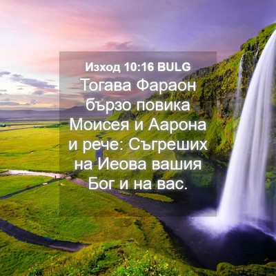 Picture 04 - Изход 10:16 BULG - Тогава Фараон бързо повика - Bible Verse Picture