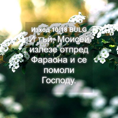 Picture 04 - Изход 10:18 BULG - И тъй, Моисей излезе отпред - Bible Verse Picture