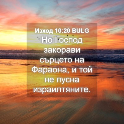 Picture 04 - Изход 10:20 BULG - Но Господ закорави сърцето - Bible Verse Picture