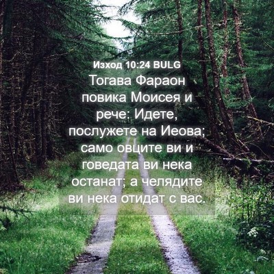 Picture 04 - Изход 10:24 BULG - Тогава Фараон повика - Bible Verse Picture