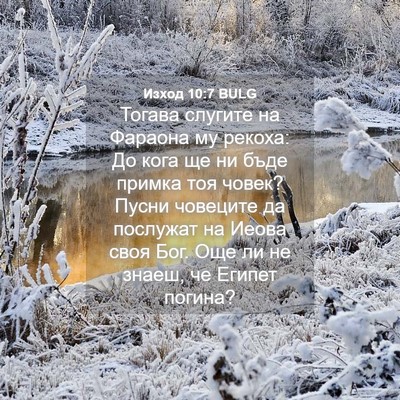 Picture 04 - Изход 10:7 BULG - Тогава слугите на Фараона - Bible Verse Picture