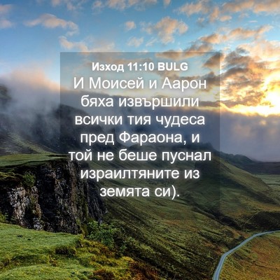 Picture 04 - Изход 11:10 BULG - И Моисей и Аарон бяха - Bible Verse Picture