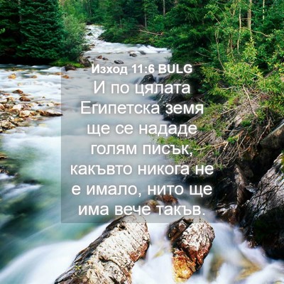 Picture 04 - Изход 11:6 BULG - И по цялата Египетска земя - Bible Verse Picture