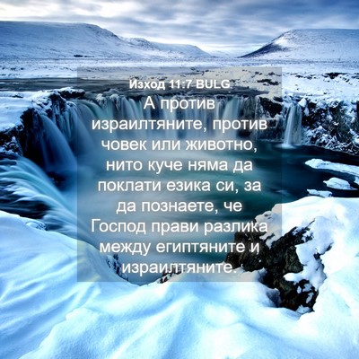 Picture 04 - Изход 11:7 BULG - А против израилтяните, - Bible Verse Picture