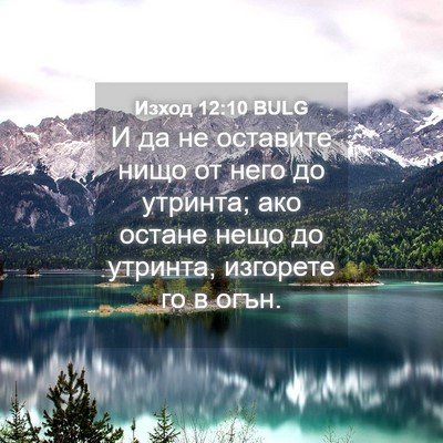 Picture 04 - Изход 12:10 BULG - И да не оставите нищо от - Bible Verse Picture
