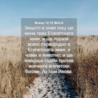 Picture 04 - Изход 12:12 BULG - Защото в оная нощ ще мина - Bible Verse Picture