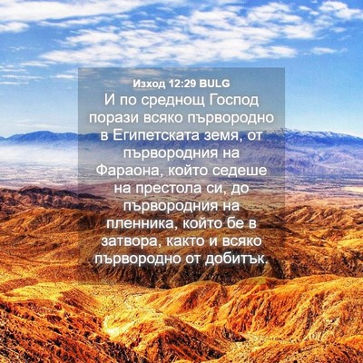 Picture 04 - Изход 12:29 BULG - И по среднощ Господ порази - Bible Verse Picture