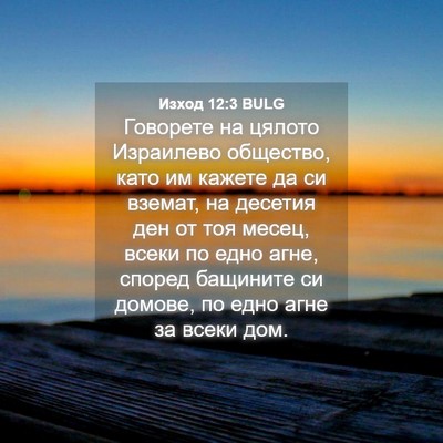Picture 04 - Изход 12:3 BULG - Говорете на цялото - Bible Verse Picture