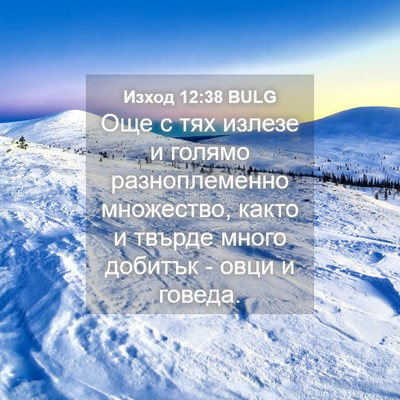 Picture 04 - Изход 12:38 BULG - Още с тях излезе и голямо - Bible Verse Picture