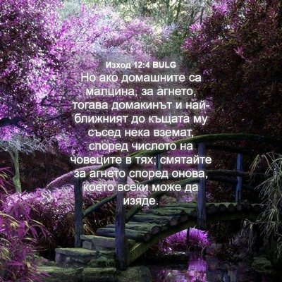 Picture 04 - Изход 12:4 BULG - Но ако домашните са - Bible Verse Picture