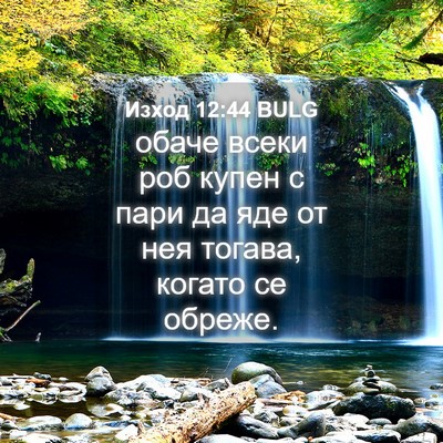 Picture 04 - Изход 12:44 BULG - обаче всеки роб купен с - Bible Verse Picture